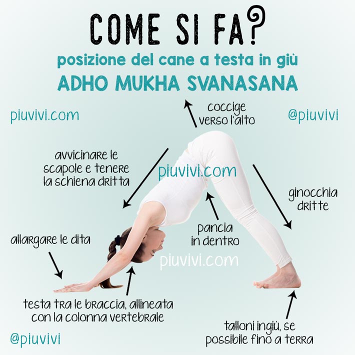 Adho Mukha Svanasana Posizione Del Cane A Testa In Giù Adho Mukha Svanasana Posizione Del Cane A Testa In Giù