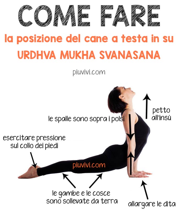 Testa Spalle Gambe E Piedi Testo