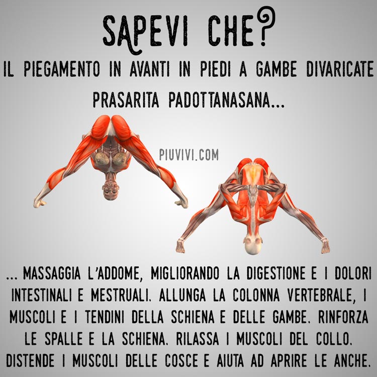 Dove Si Fa La Siringa Sul Sedere